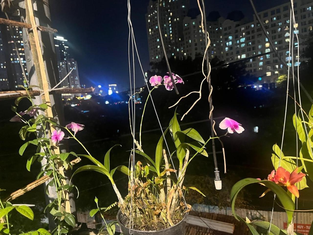 May House Binhthanh TP. Hồ Chí Minh Ngoại thất bức ảnh