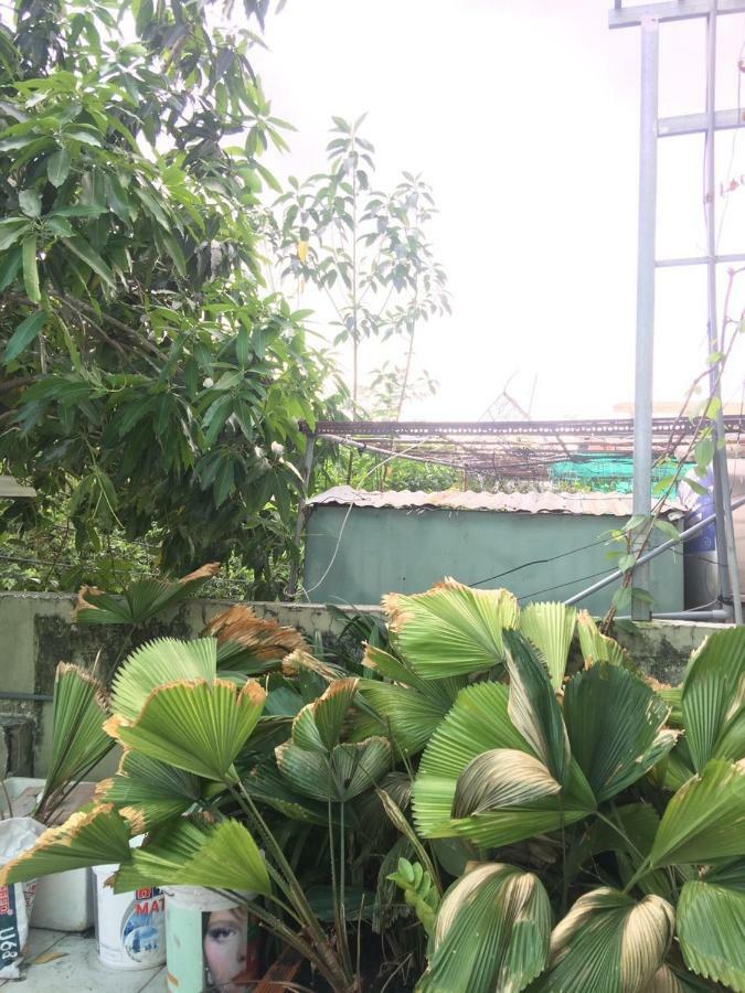 May House Binhthanh TP. Hồ Chí Minh Ngoại thất bức ảnh